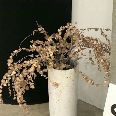 陵城FurryQQ群介绍